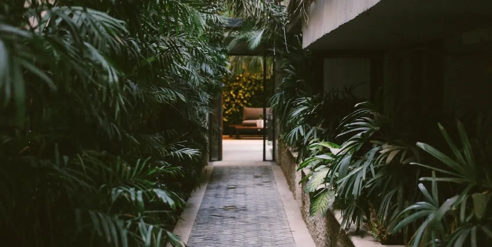 A nice path with landscaping.
